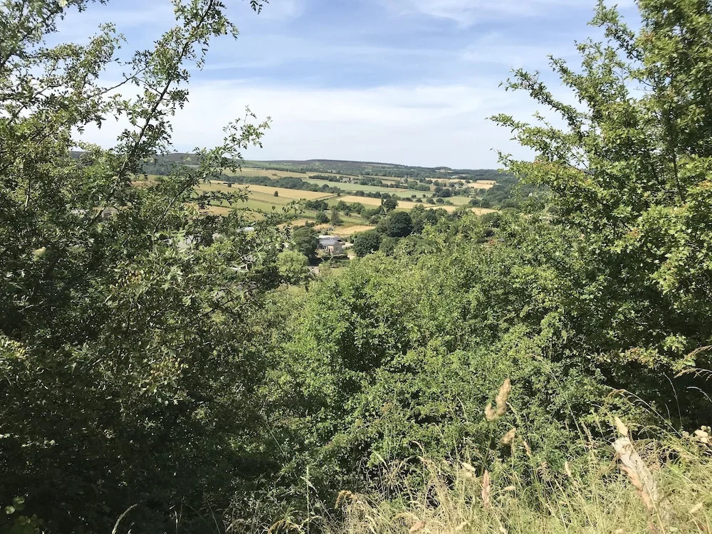 The Dairy