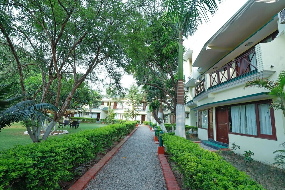 Signature Corbett
