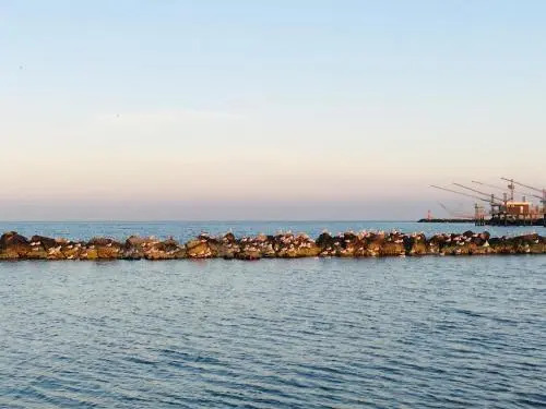 Res. Michelangelo Resort 252S