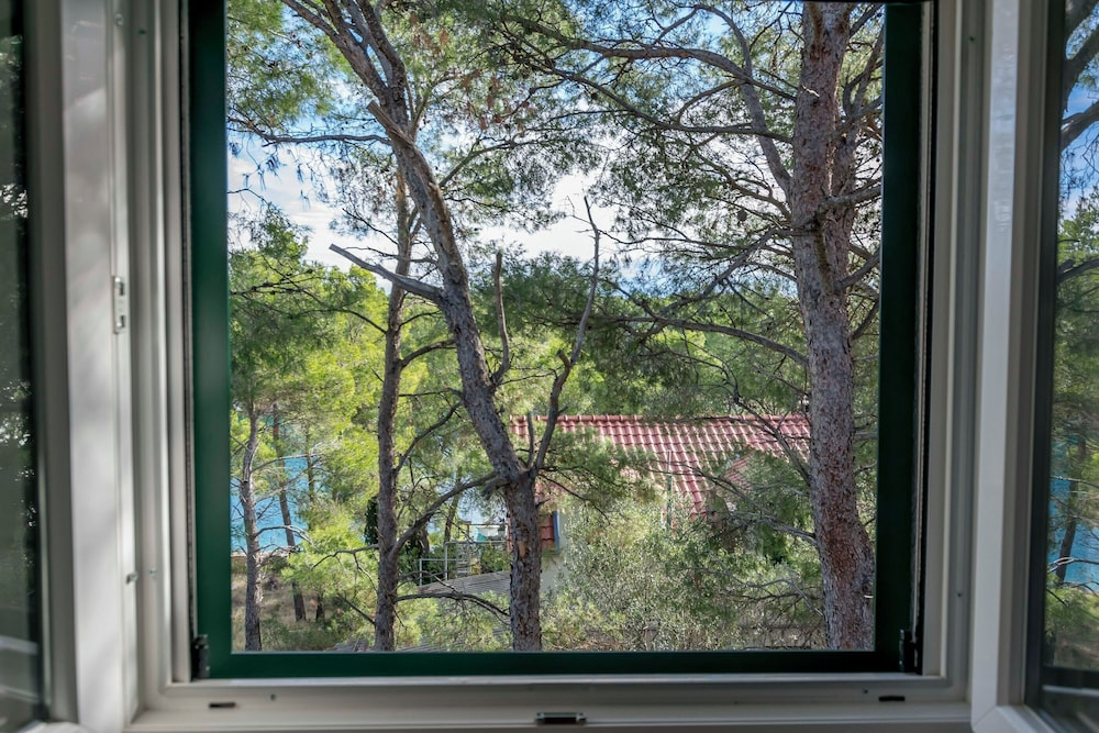 Apartments Jase