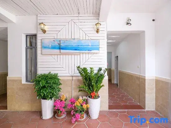 Sunshine Coast Holiday Hostel
