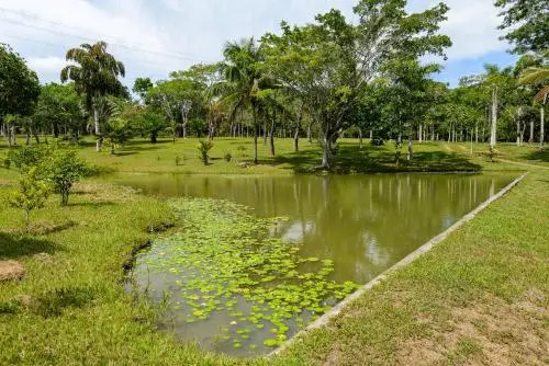Hotel da Reserva Natural Vale