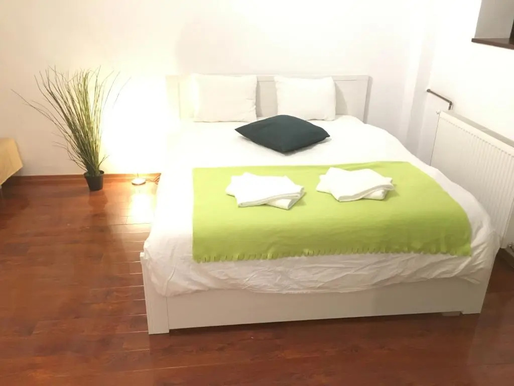 New Green Studio