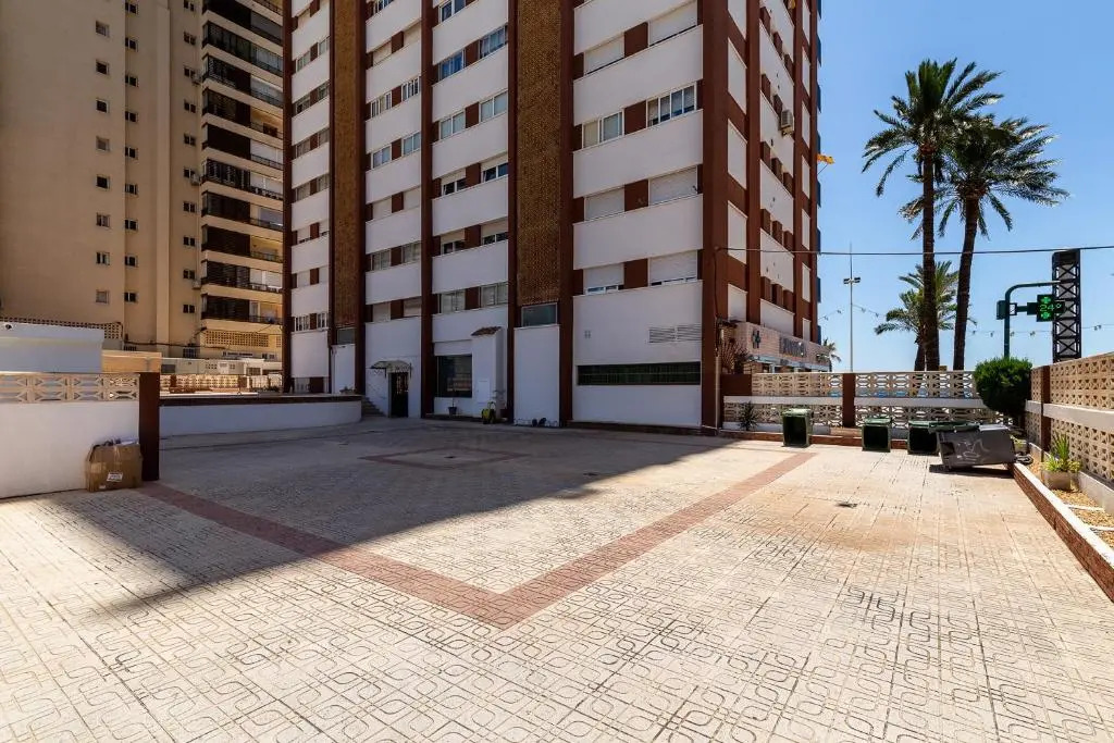 Las Palmeras 10A