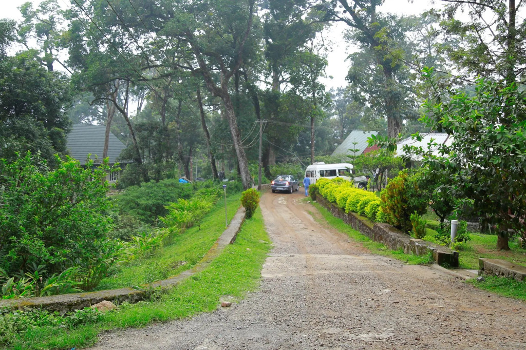 Raarees Mist Resort