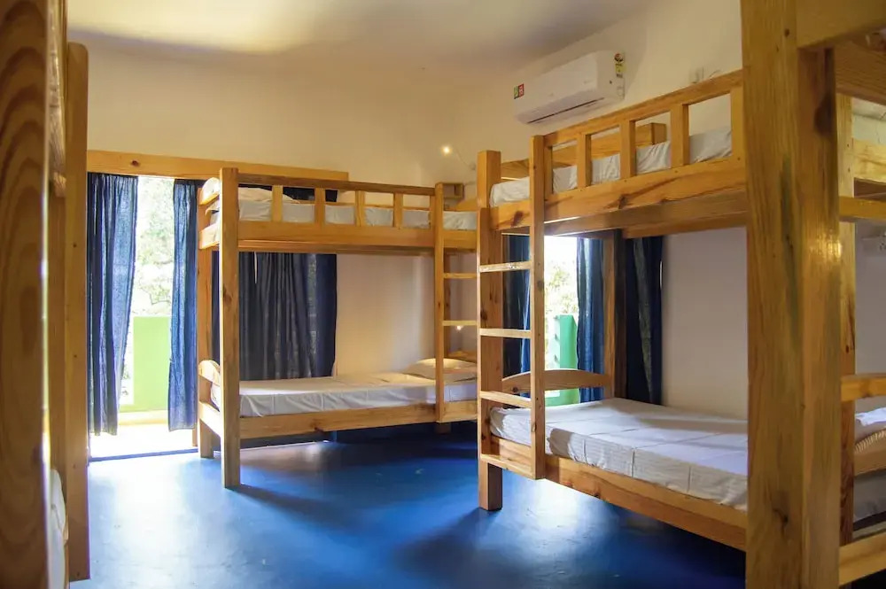 GREEN NEST HOSTEL - Anjuna , North Goa