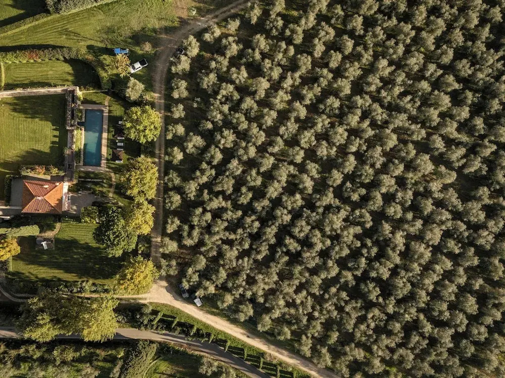 Villa Le Cipresse