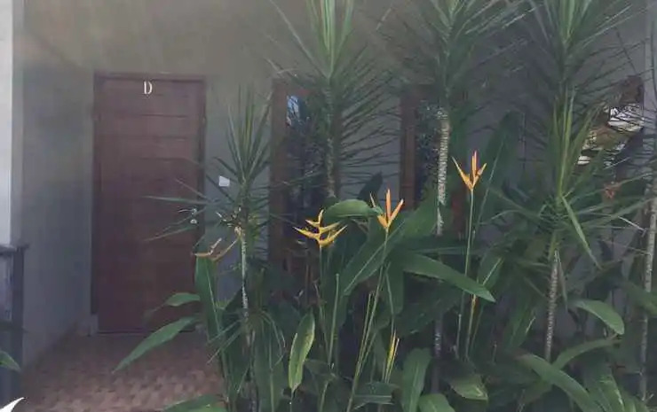 100 Percent Balangan Guesthouse