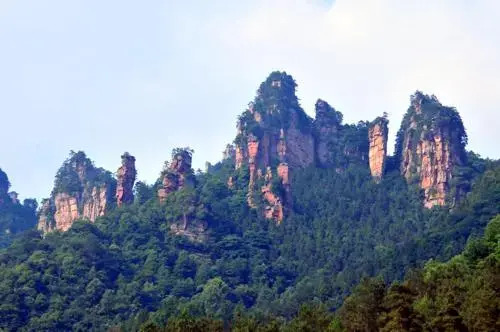 Yangjiajie Inn
