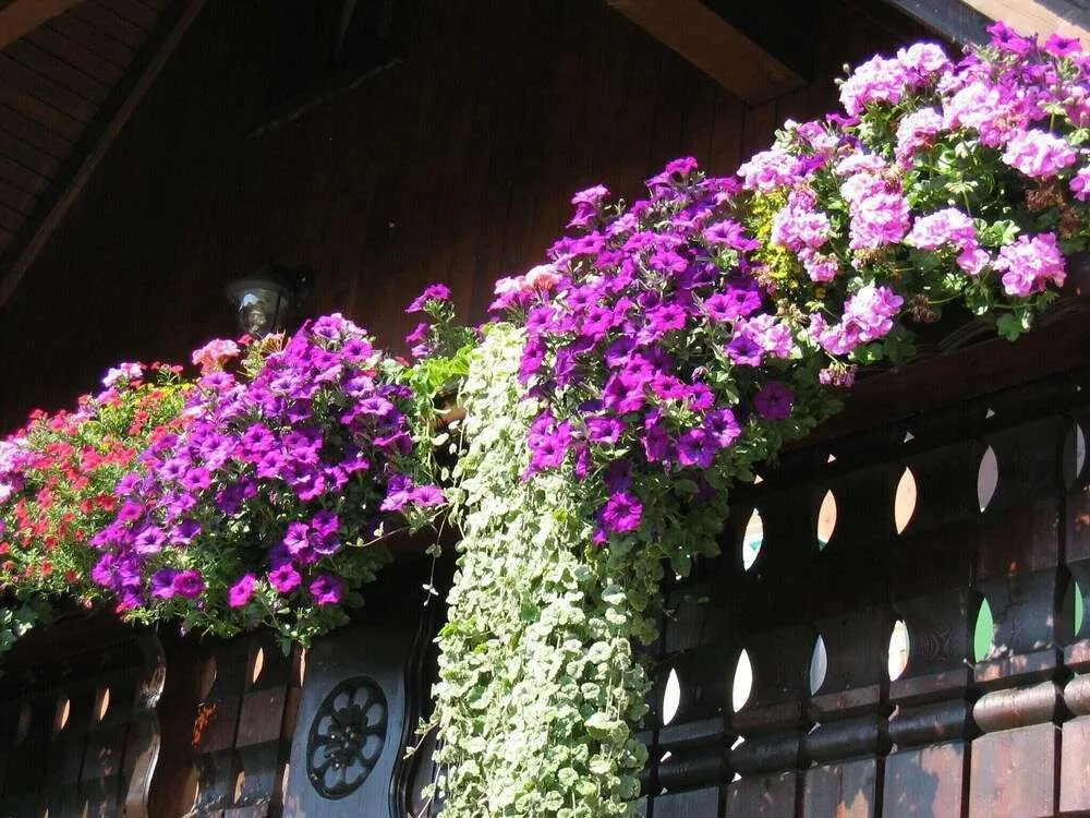 Beautiful Apartment in Pohla Saxony near Ski Area