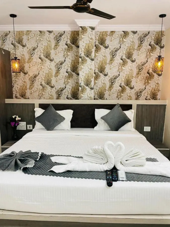 Swan Premium