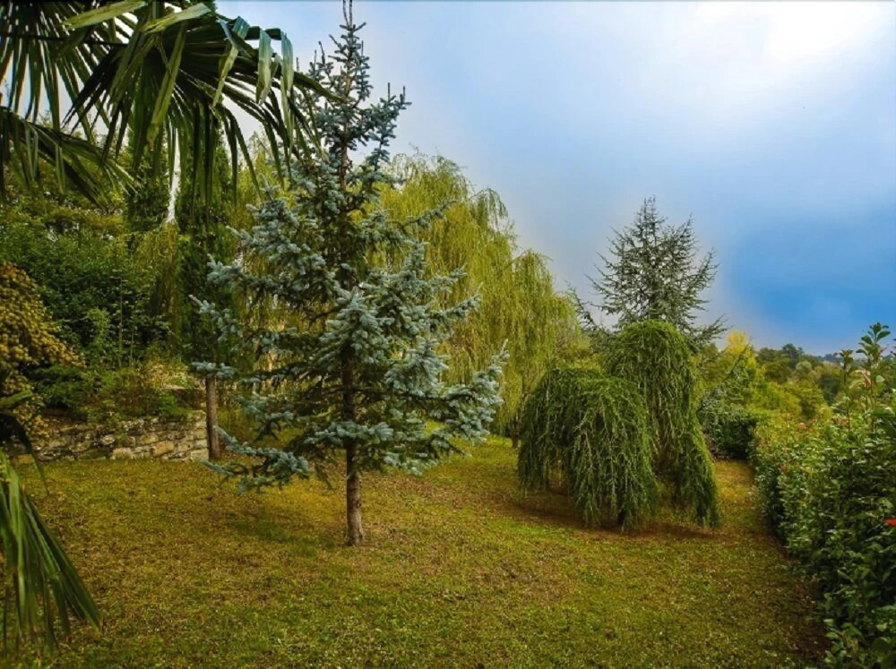 Casa Vacanze Lorena
