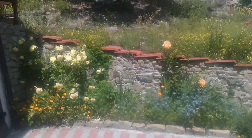 Rustico
