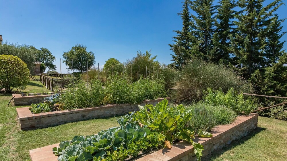 Si-c227-cabe0at - Villa Poggio Bonelli 18