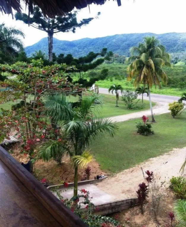 Davis Falls Inn