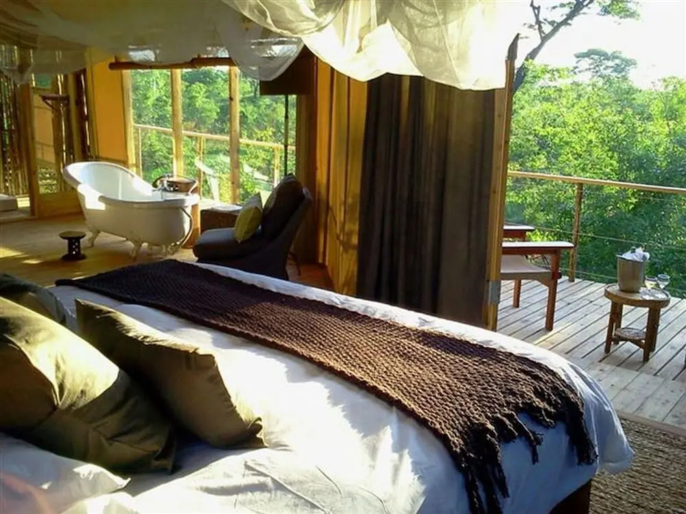 Miombo Safari