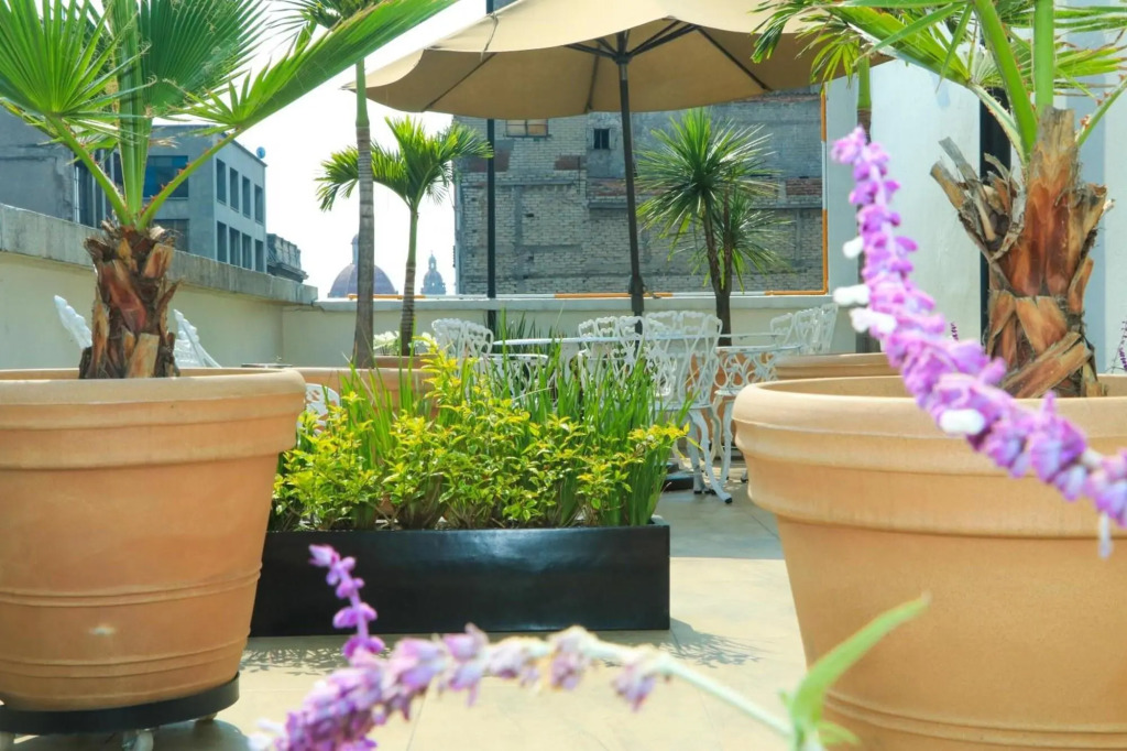 Hotel Habana