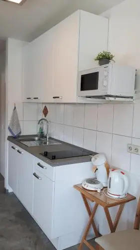 Ludwig Apartment