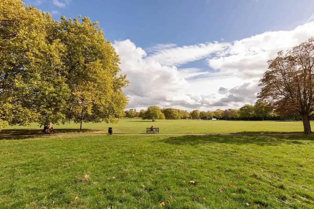 Beautiful Unique Flat in Peckham
