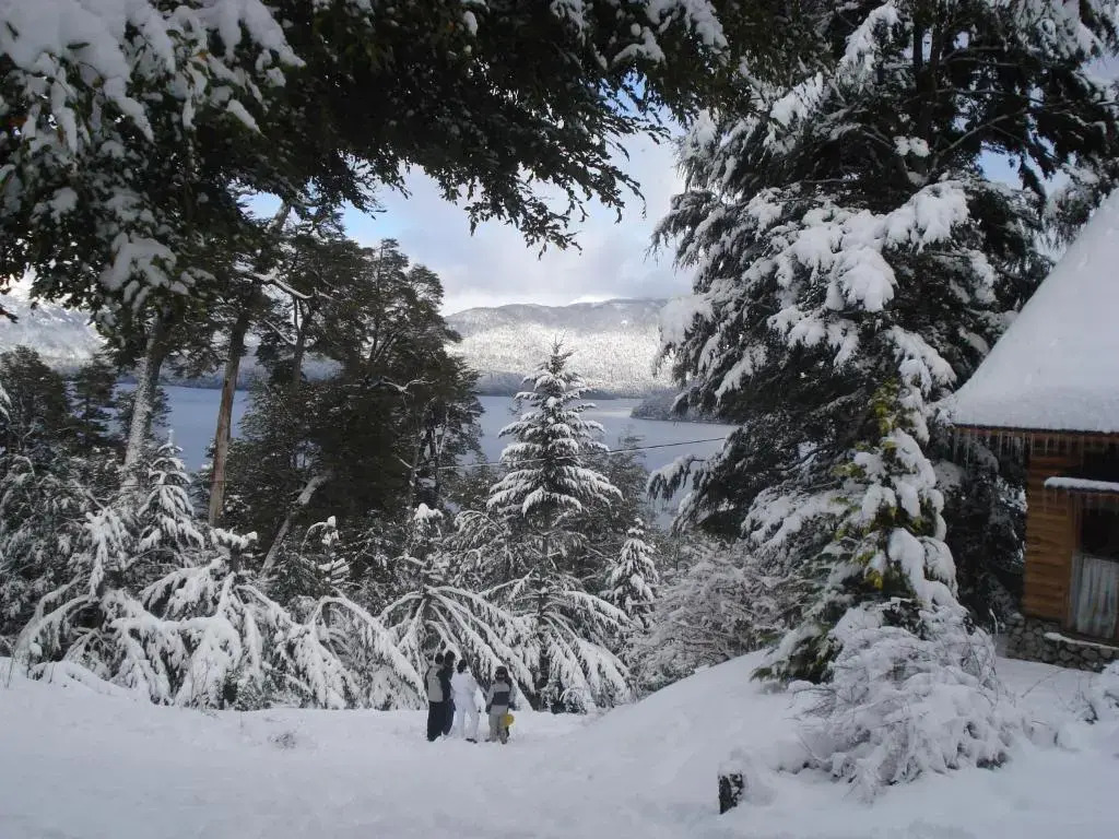 Paisaje Bandurrias