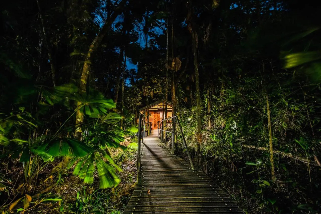 Daintree Wilderness Lodge