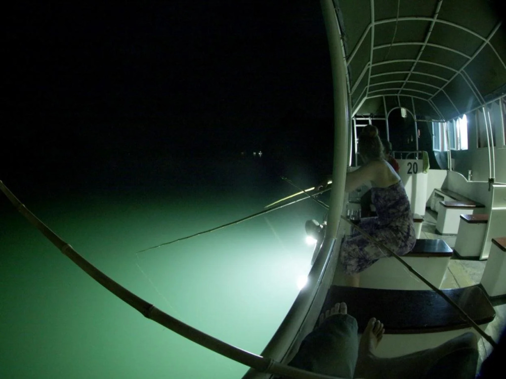 Huong Hai Sealife Cruise