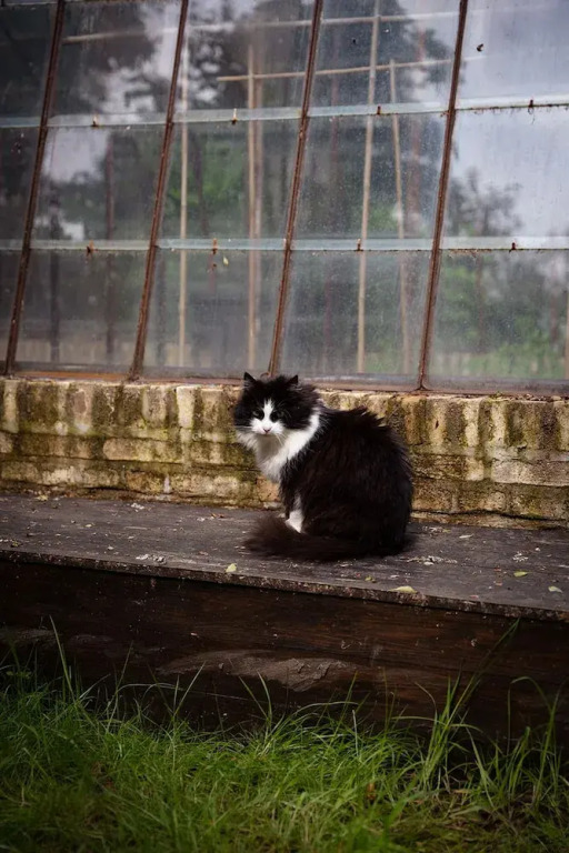 La Petite For t Antique Countryside Greenhouse