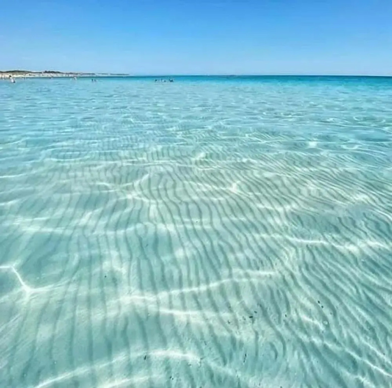 Masseria Belvedere