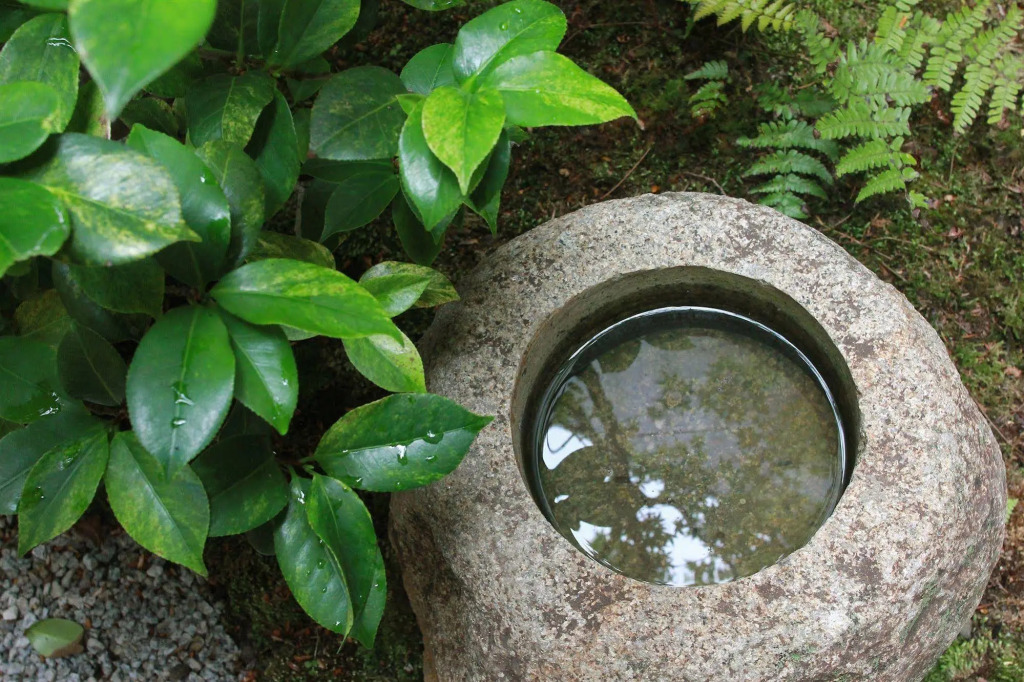 Seiji-an Machiya Residence Inn