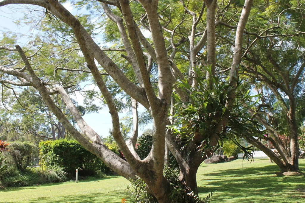 Buderim Fiesta Motel