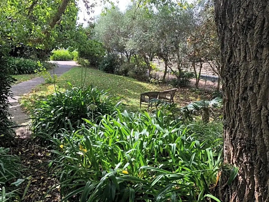 Lorelei Bed & Breakfast