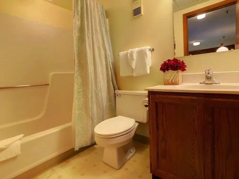Mg 3d11 - Mt. Green Studio: Sleeps 4. Close To Skiing!