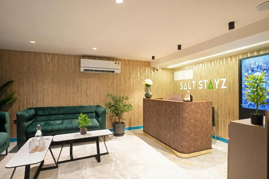 Saltstayz Premier - Naraina, Central Delhi