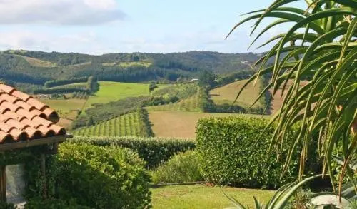 The Vineyard Cottage - Stay Waiheke