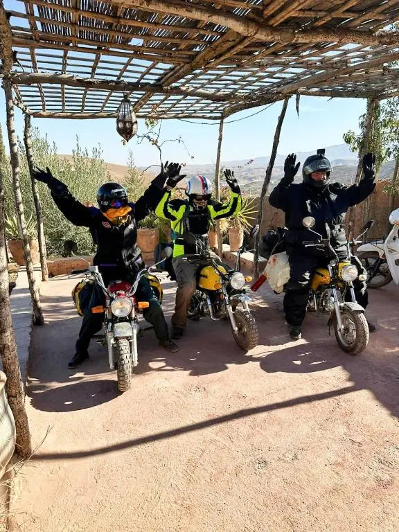 dar boumida