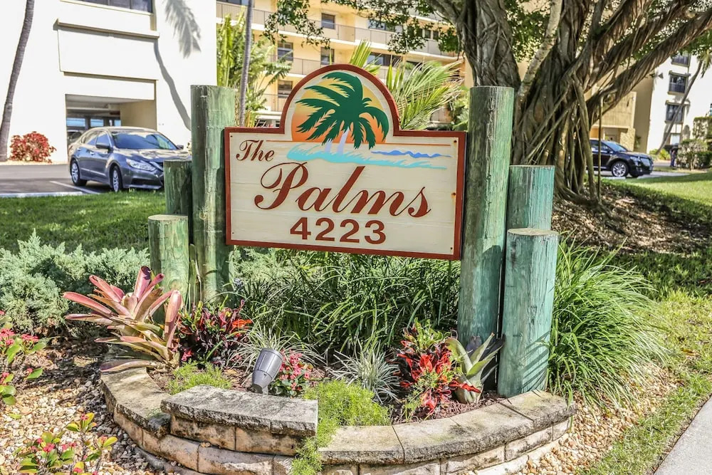 Palms 2D