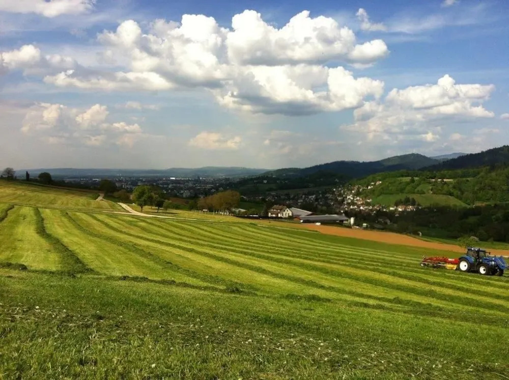 Zauberhafte Ferienwohnung am Schönberg