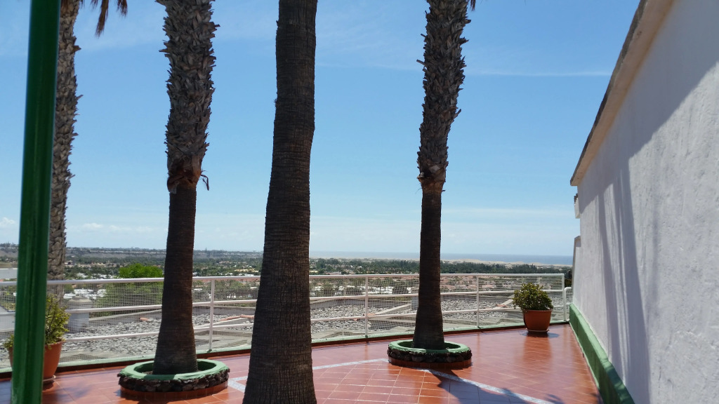 Vista Oasis