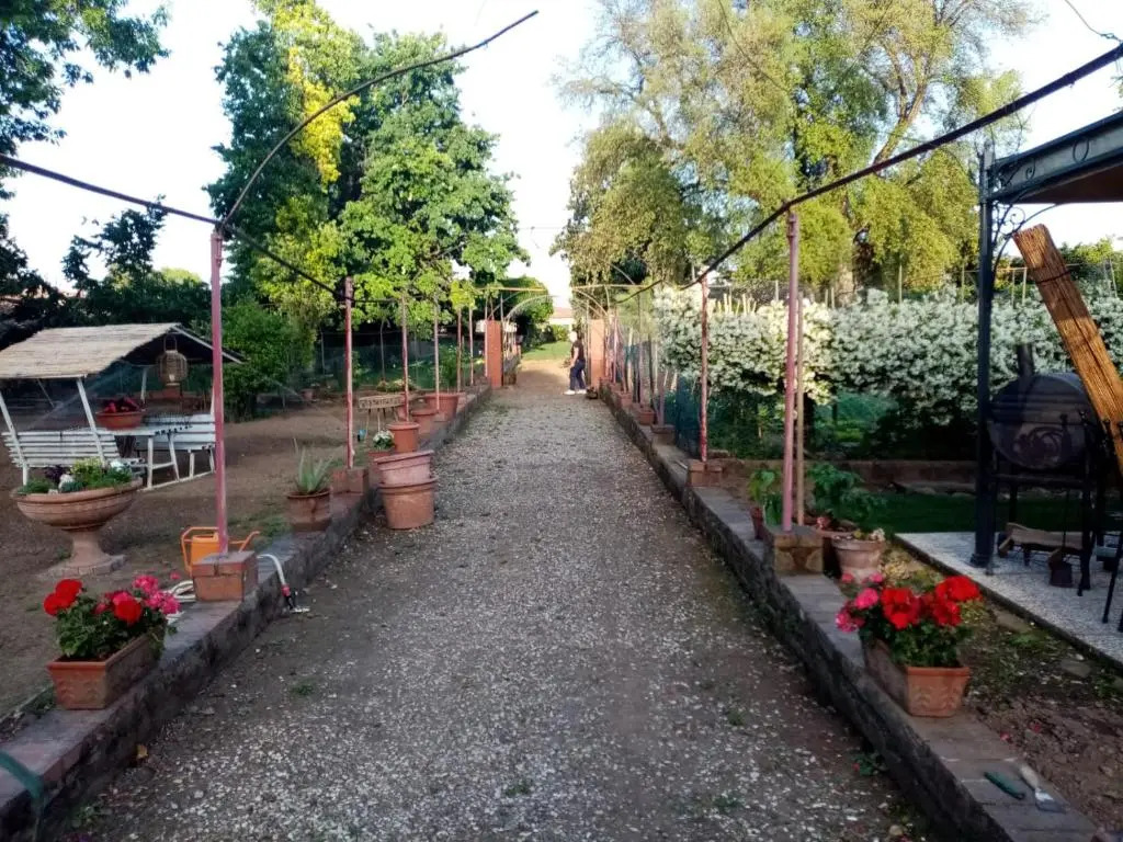 Alle vecchie mura