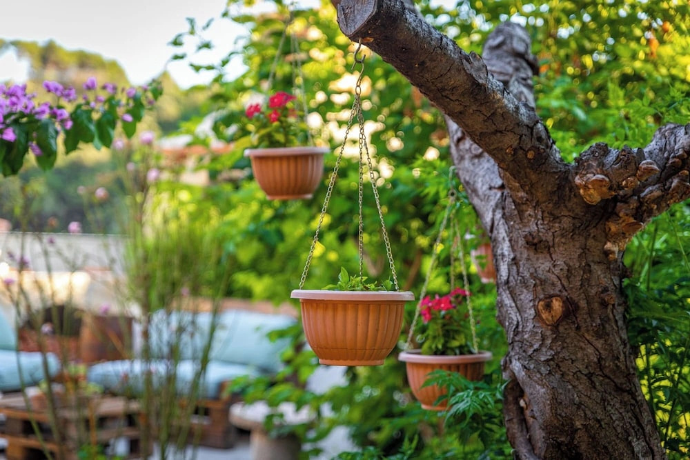 House Garden House