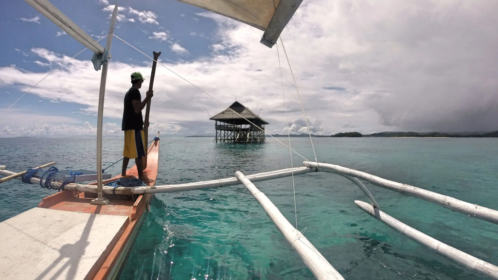 Vivo Siargao