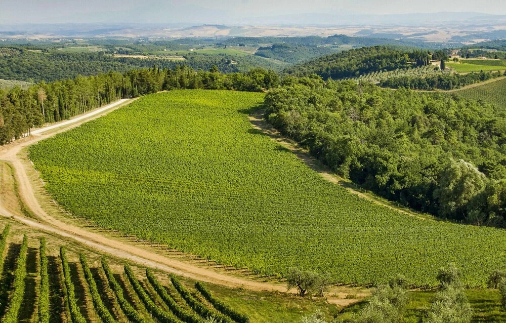 3 Bedroom Gorgeous Home In Greve In Chianti