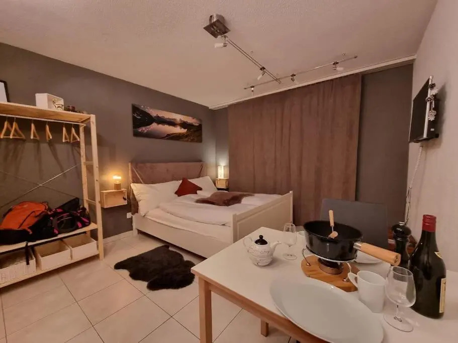 Ski-in cosy studio