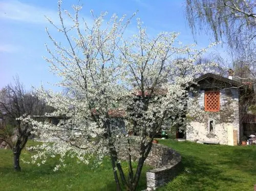 Il Ciliegio Selvatico