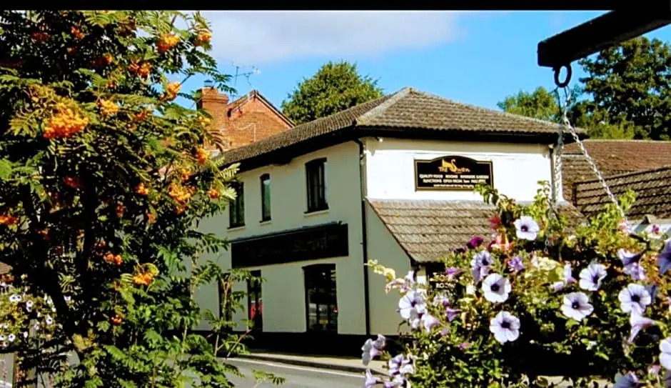 the swan stoford