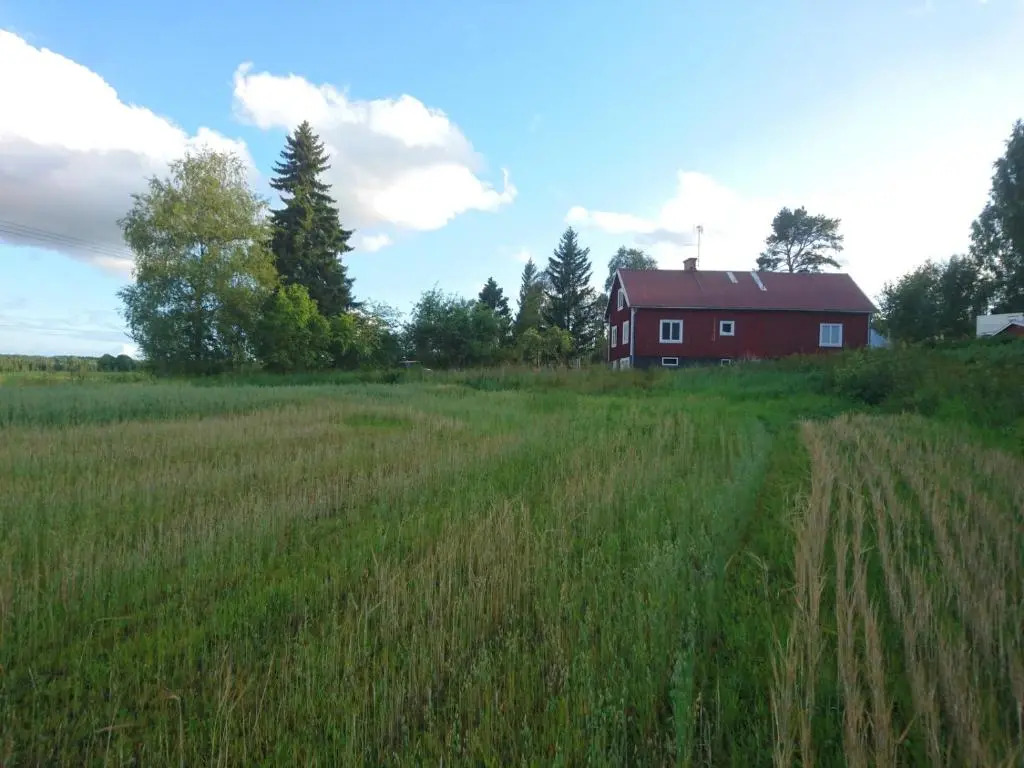 3 Bedroom House near Hudiksvall with Infrared Sauna & High-Speed Fiber