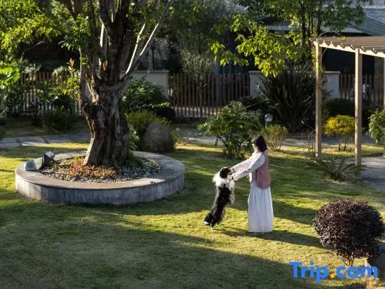 Wind Whispering Retreat • Mind-Body Rejuvenation •  Forest Villa  Hotel