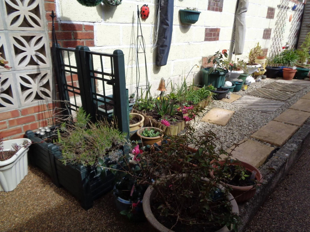 Laceys Guest House