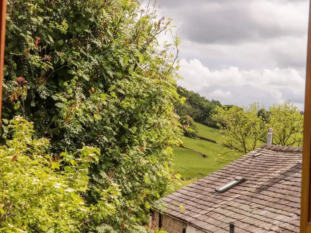Top House