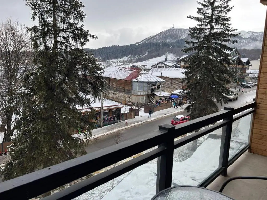 Apartment in hotel Tbilisi, Bakuriani 32